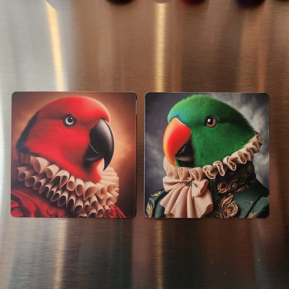 3x3 magnet female eclectus parrot in fancy dress - Picture 2 of 3